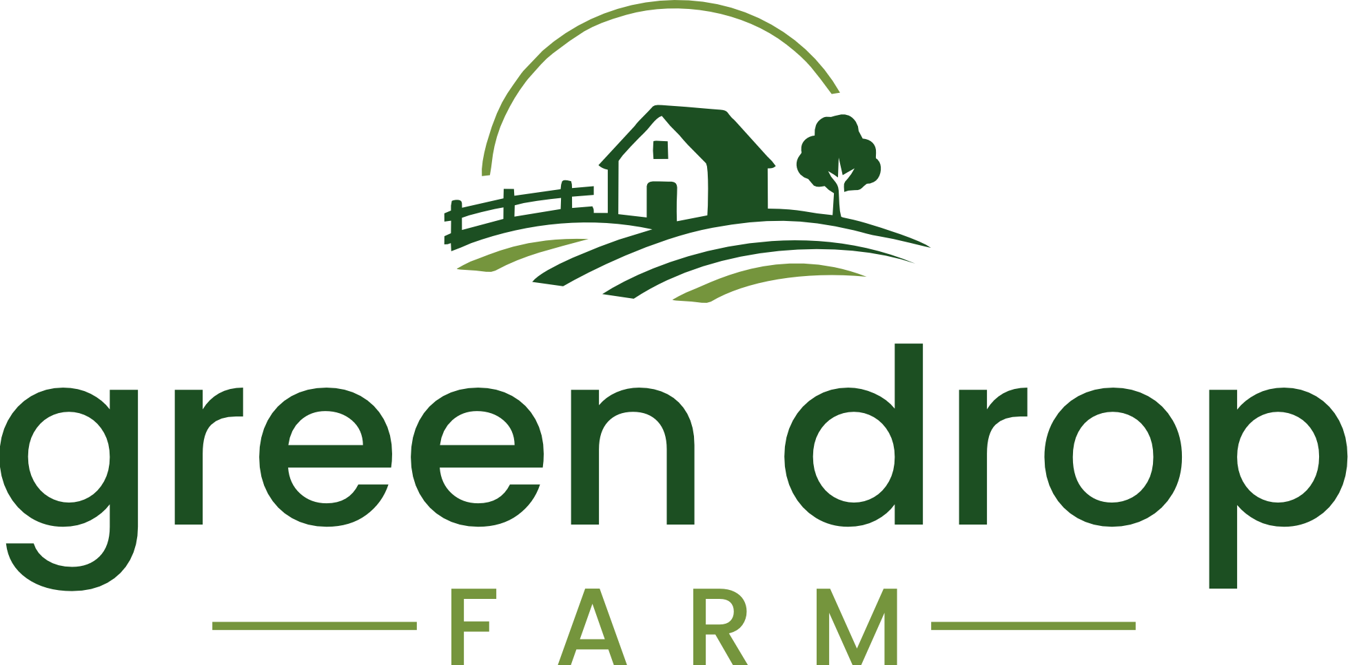 logo_transp